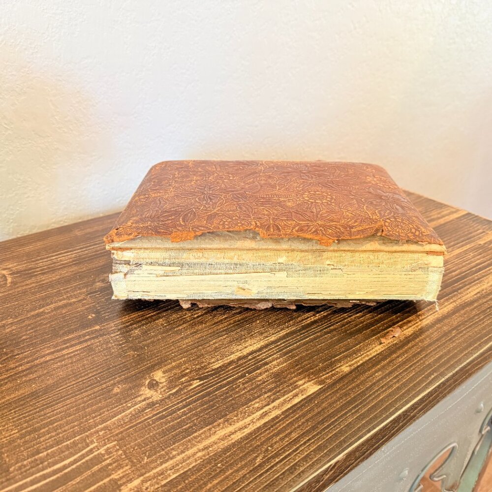 142-Year-Old Victorian Leather Photo Album with 15 Photos - Picture 9 of 17